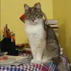 Отзыв от Мария Хохлова